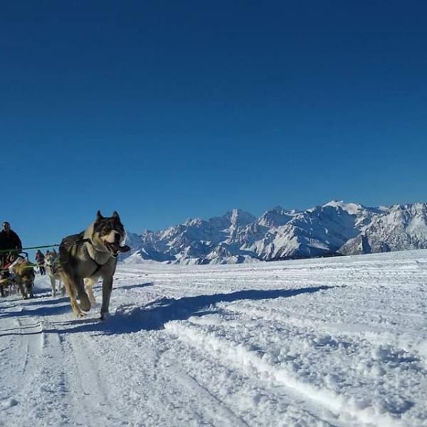 Tour panoramique
